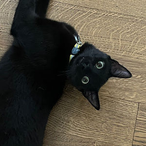 Meet your Posher, Christina